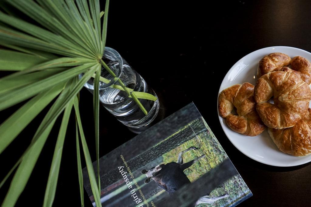 Guest House Senasis Pastas 드루스키닝카이 외부 사진